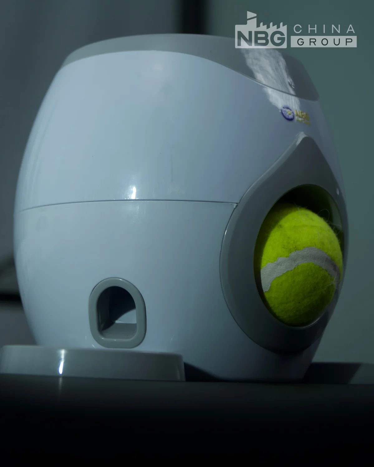 Side view of the interactive reward device